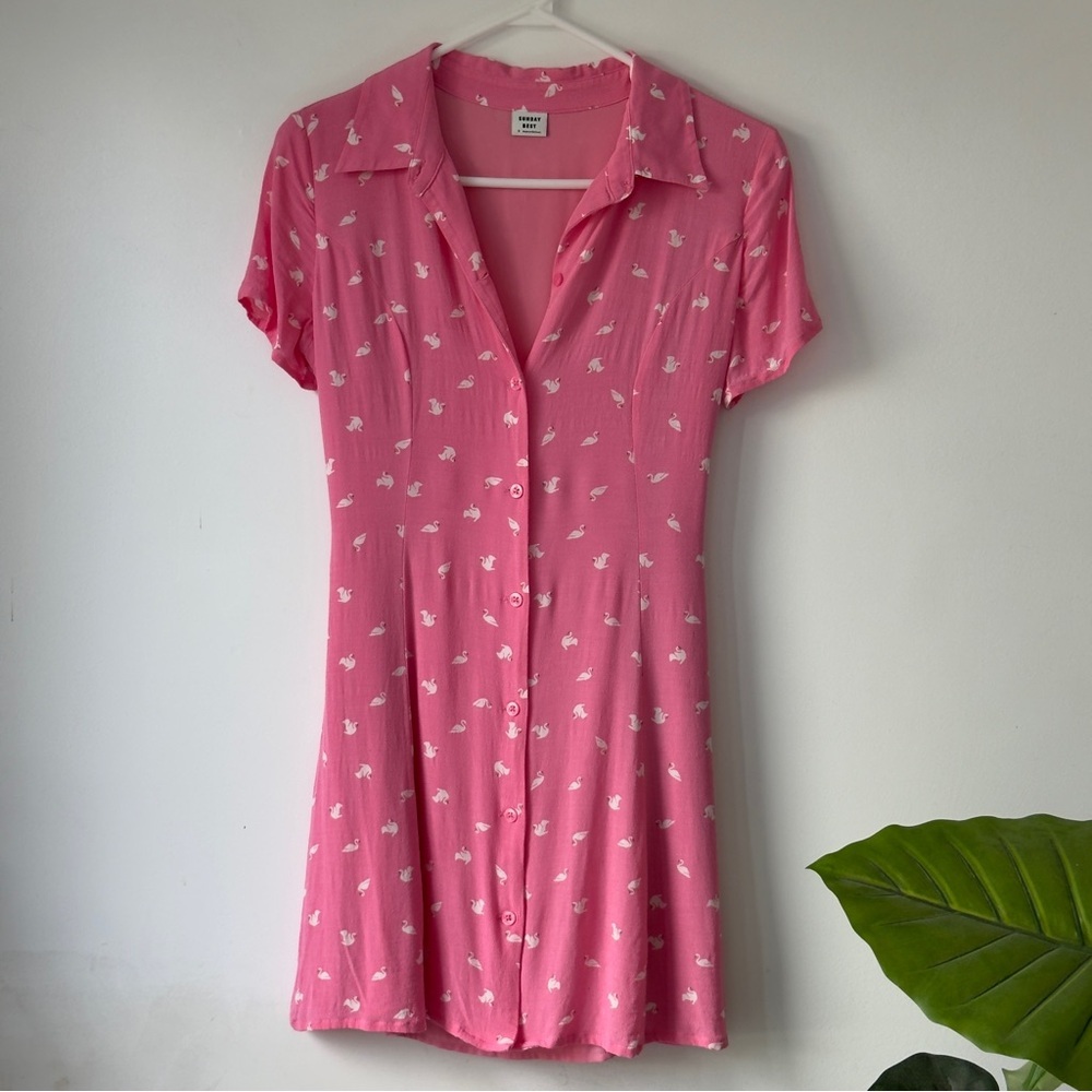 Sunday Best Pink Swan Dress